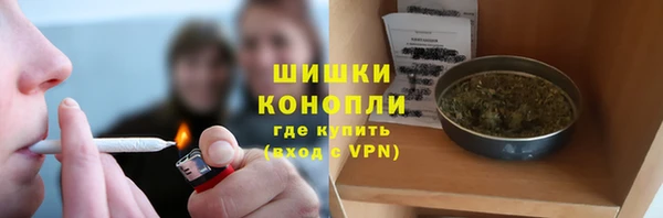 молекула духа Надым