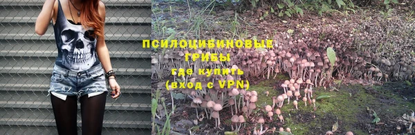 MESCALINE Краснослободск