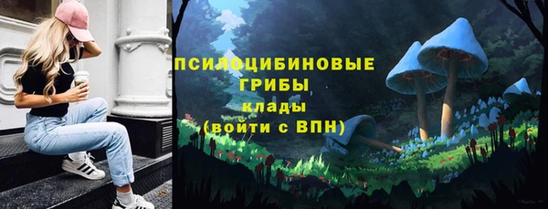 гидра Красноперекопск