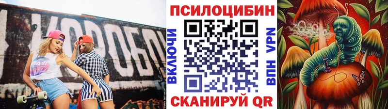 omg tor Тогучин Галлюциногенные грибы прущие грибы